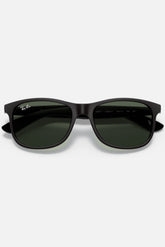 Ray-Ban RB4202 606971 55-17