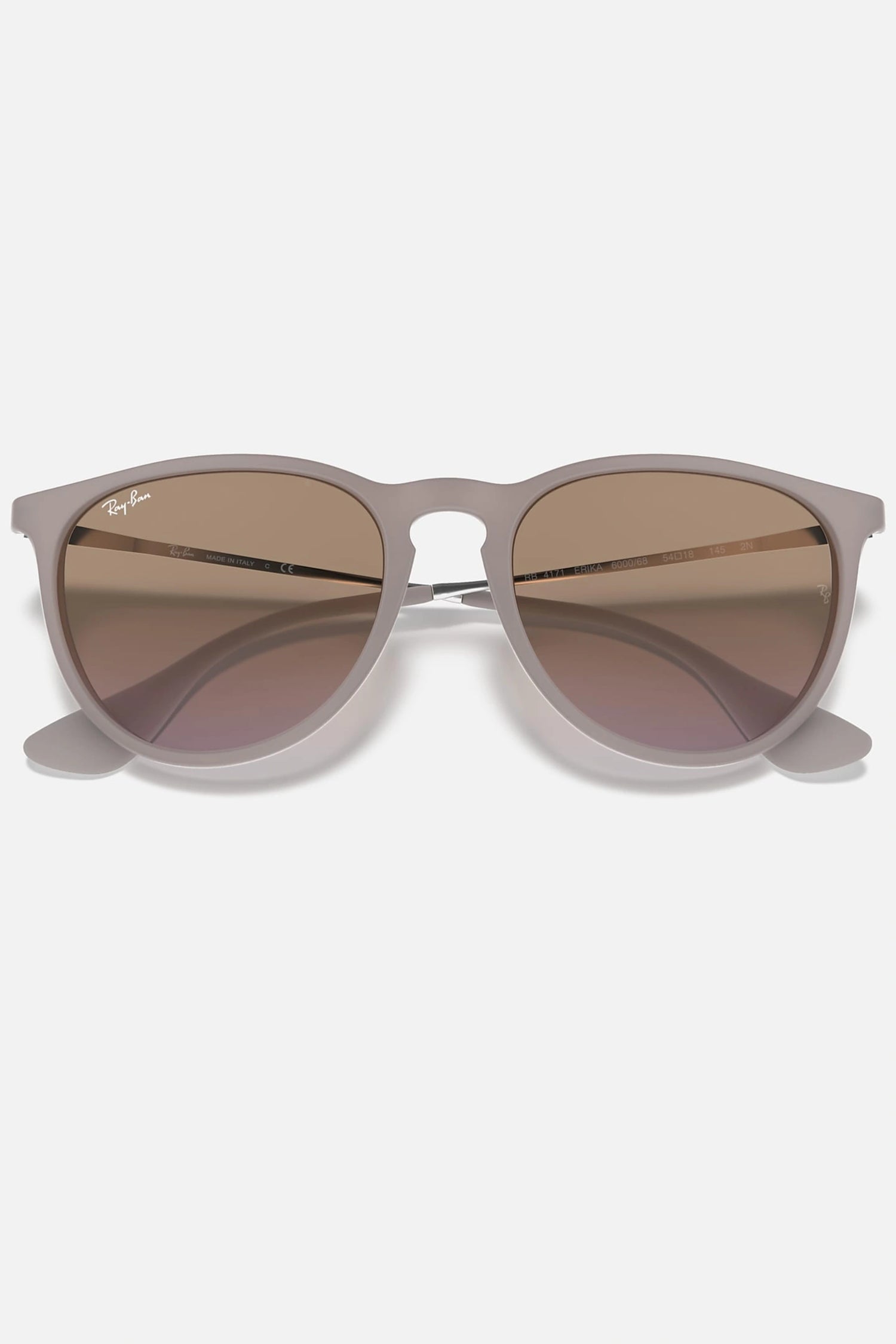 Ray-Ban RB4171 600068 Erika