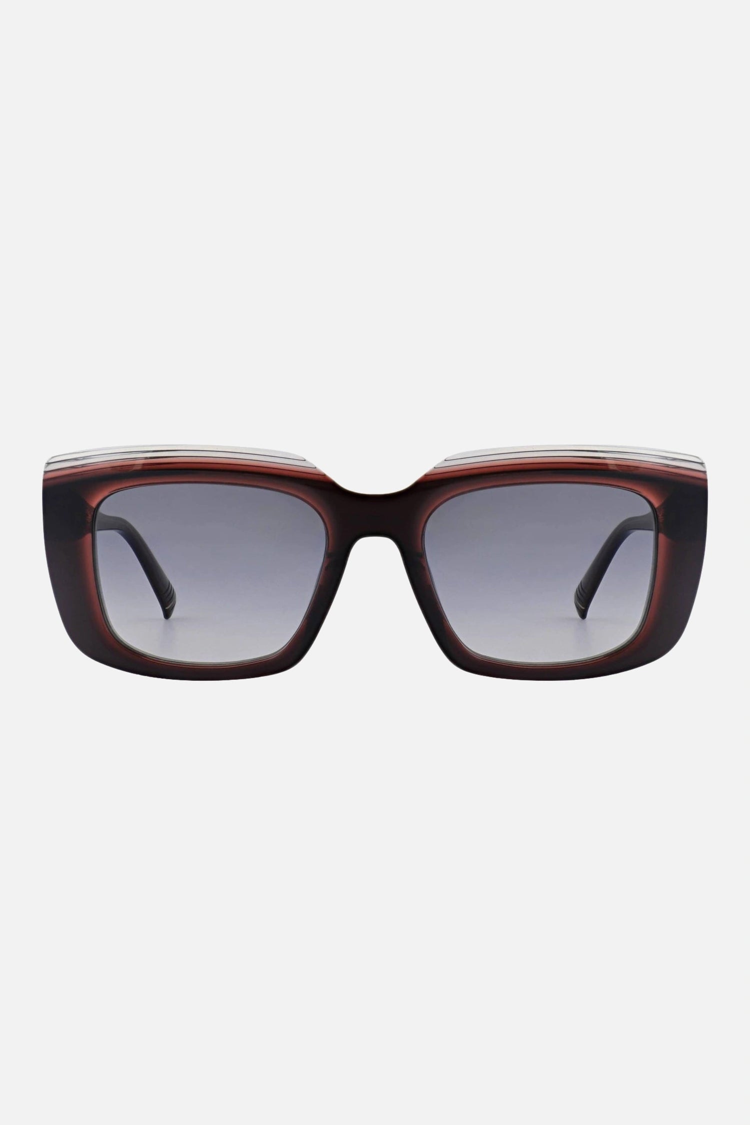 Morel Andros 2 PG06 53 - 19 - Ottica Paoletti Foto