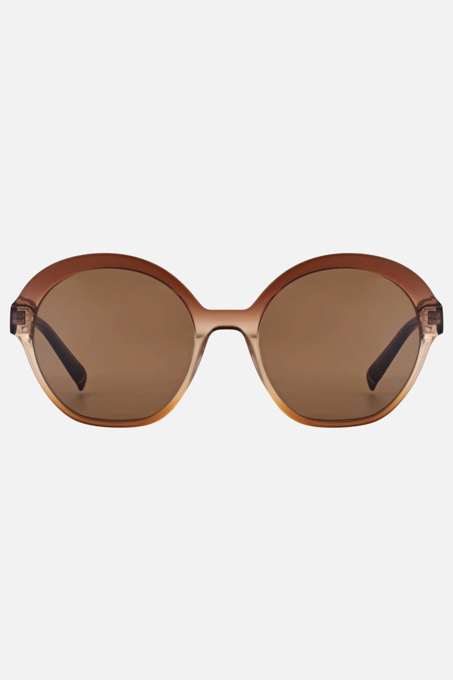 Morel Tahiti 4 MM12 53 - 18 - Ottica Paoletti Foto