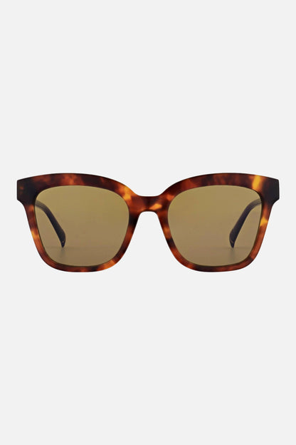 Morel Zafora 1 TP03 52 - 19 - Ottica Paoletti Foto