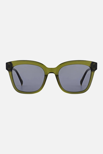 Morel Zafora 1 VT02 52 - 19 - Ottica Paoletti Foto