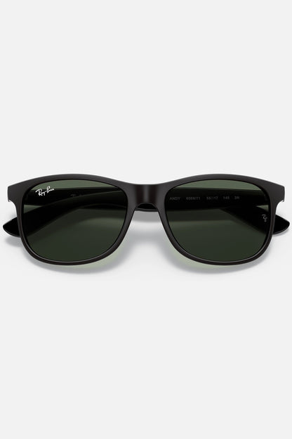 Ray - Ban RB4202 606971 55 - 17 - Ottica Paoletti Foto